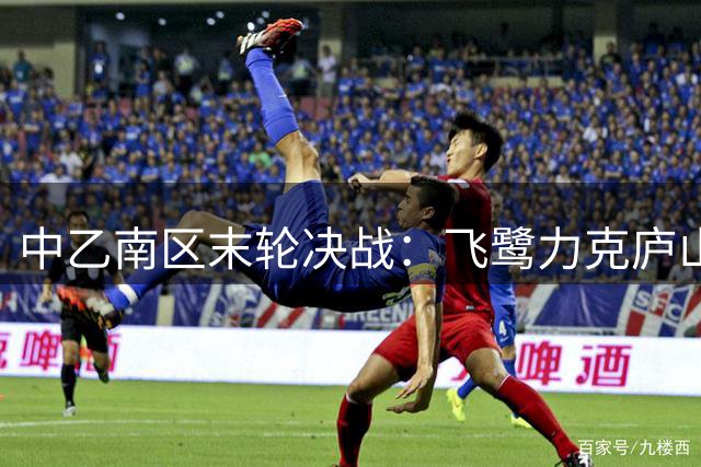 中乙南区末轮决战：飞鹭力克庐山 吴越小胜青年星