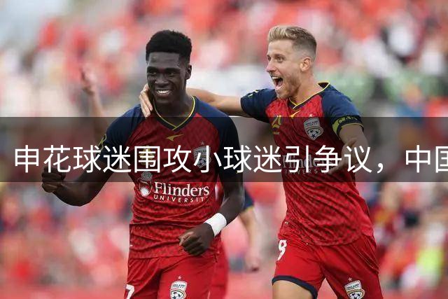 申花球迷围攻小球迷引争议，中国足球底线受考验